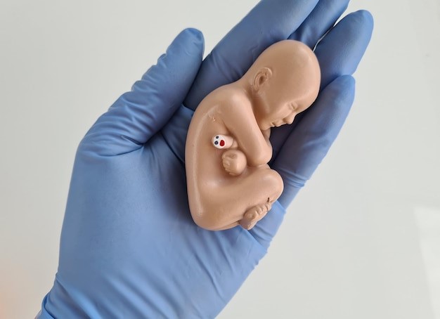 Bebés probeta milagros de la fertilidad asistida
